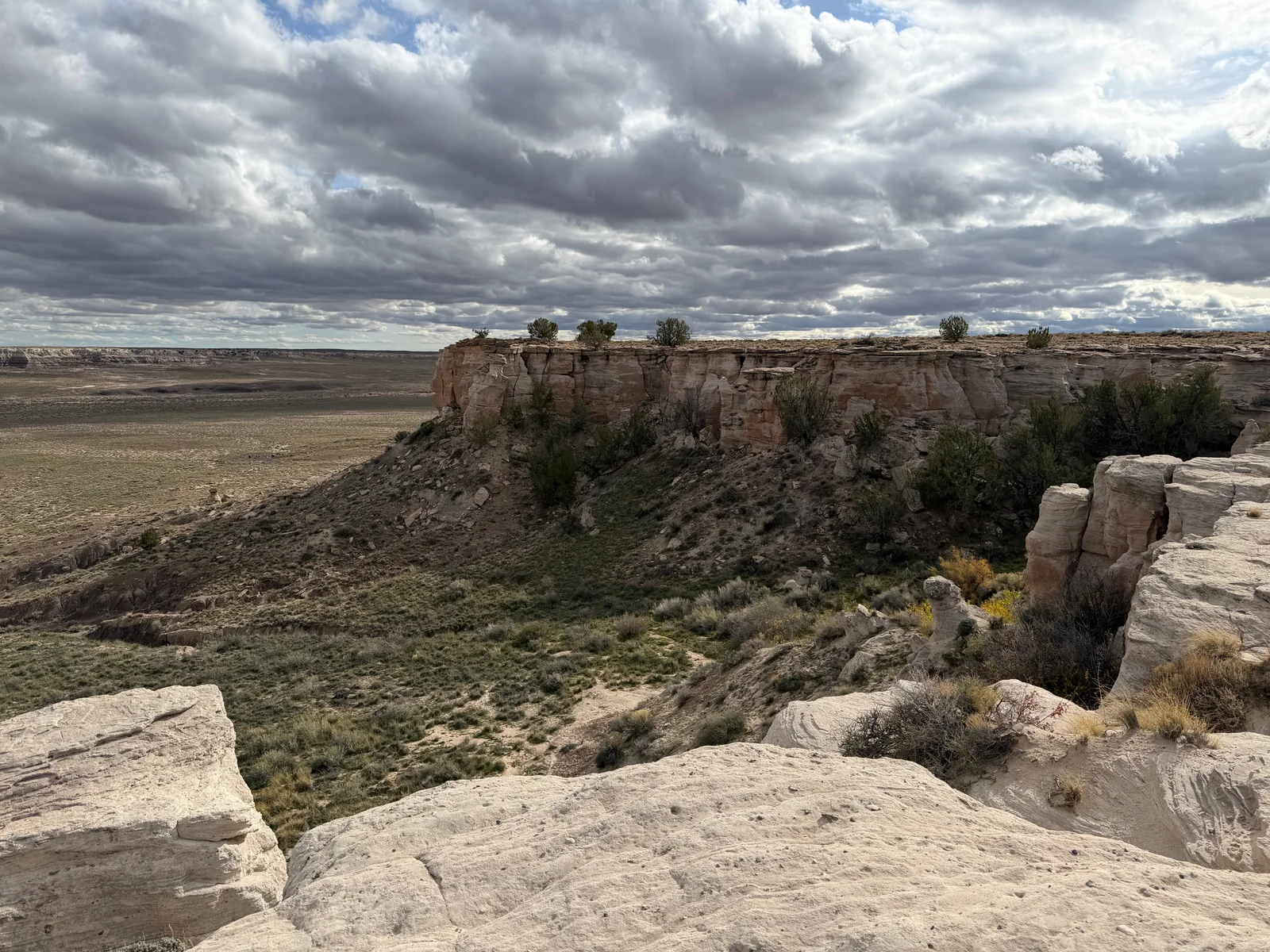 Petrified Forest National Park in Arizona, USA