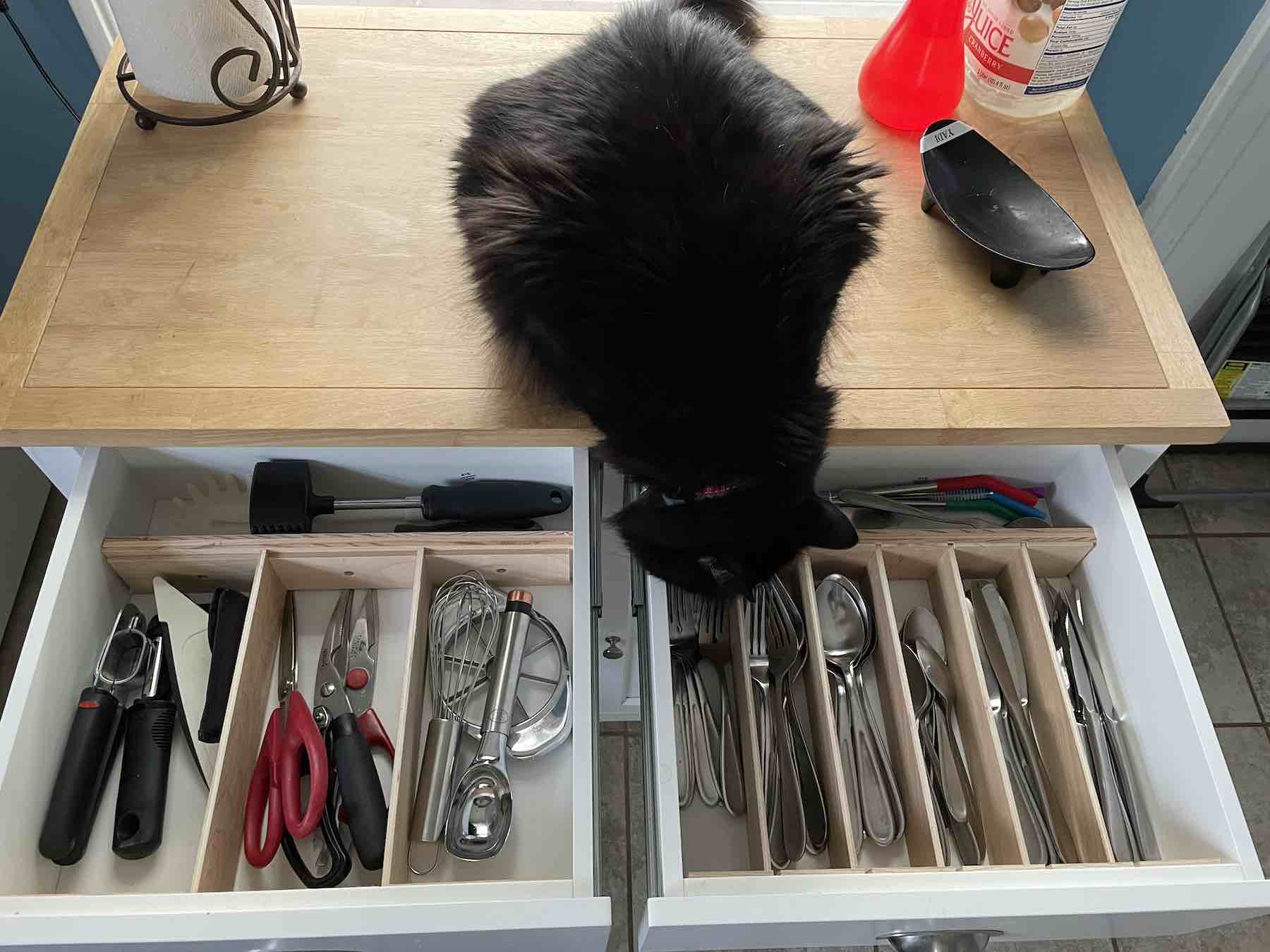 organized drawer inspector