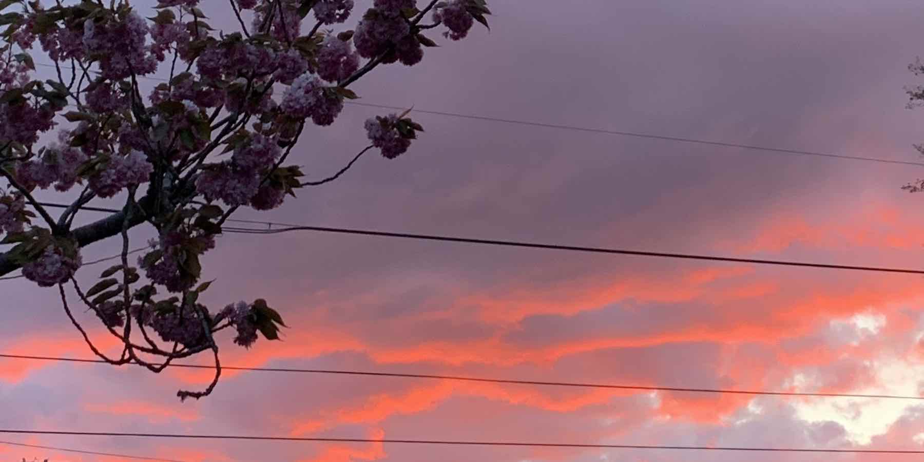 Astoria sunset